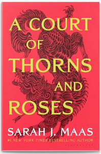 A Court of Thorns and Roses on Libby