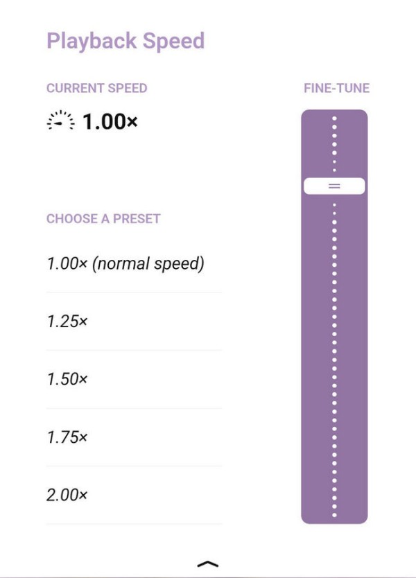 Adjust Audiobook Speed