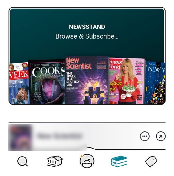 Explore Libby Newsstand