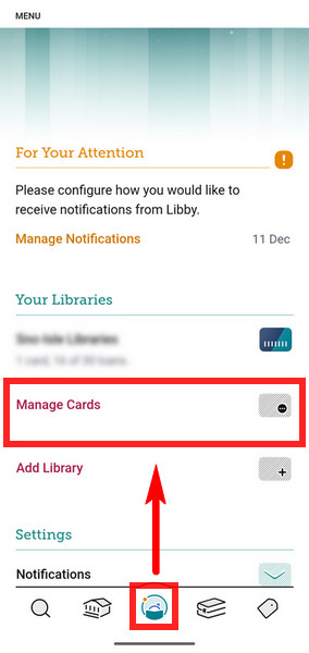 Check Your Libby Limits